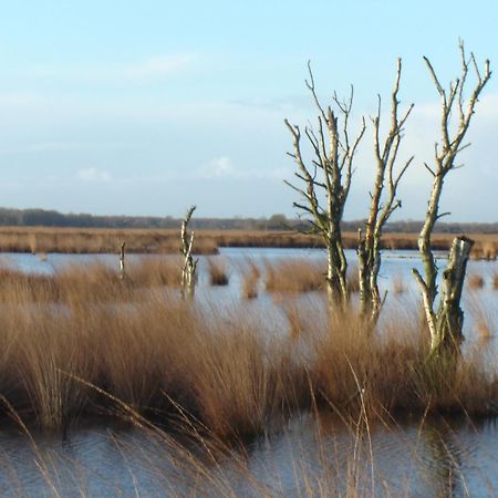 Bitter En Zoet Hotell Veenhuizen Exteriör bild