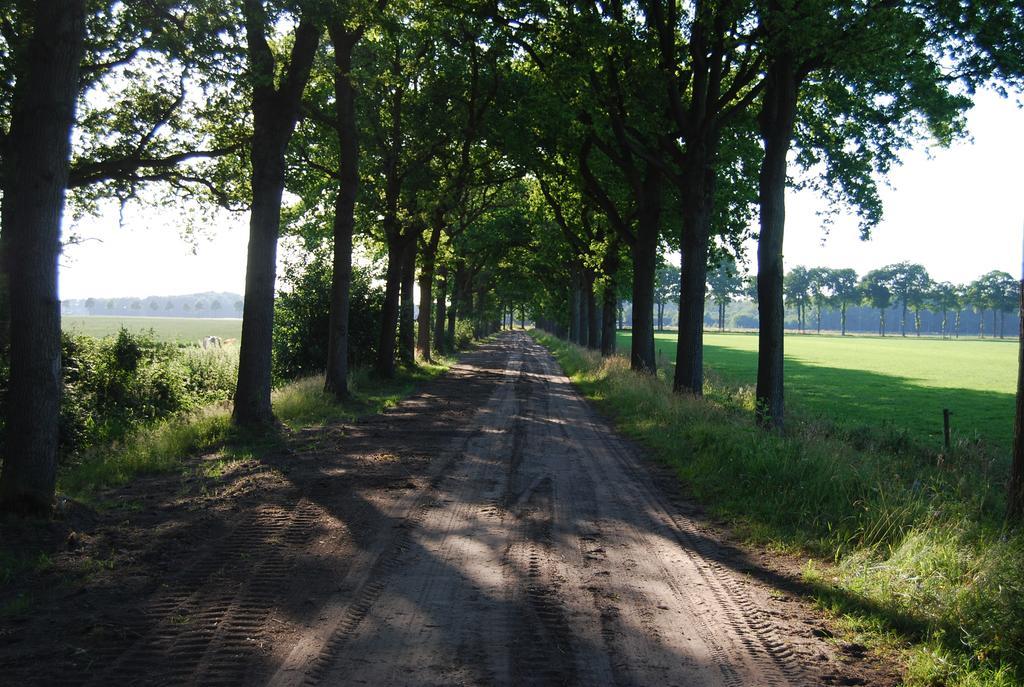 Bitter En Zoet Hotell Veenhuizen Rum bild
